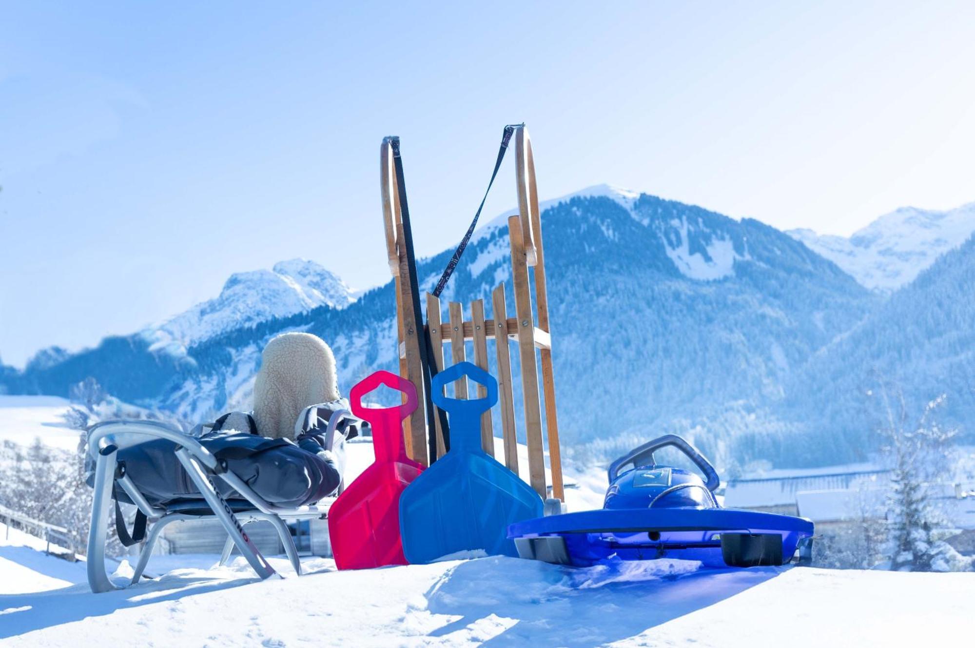 Haus Theresia Ruef Au (Vorarlberg) 外观 照片
